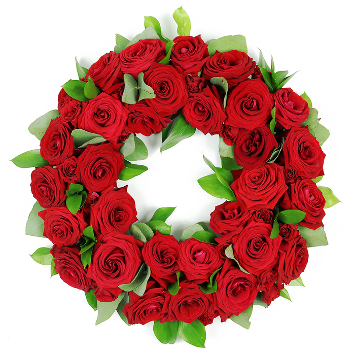 An evocative circular wreath, formed of dozens of deep red roses, rests against a pure white backdrop, its ring lush and three-dimensional. The florist's hand is visible in the precise density-roses in various stages of opening, from tight buds to open, velvety petals, each shade rich and saturated with careful folds. The red blooms convey love, memory, and respect, and the continuous ring suggests an unbroken chain of remembrance. Scattered throughout are clusters of fresh green foliage: broad, rounded eucalyptus-like leaves and sharper, slender ruscus, whose glossy sheen and verdant depth highlight the reds and add graceful movement. The arrangement is full and layered, with petals and leaves overlapping in a natural couture of form and texture. This red rose wreath makes a powerful statement for memorial services, funerals, or anniversaries, its tone both passionate and serene. Against the white background, the colors feel pure and timeless, enabling viewers to feel the weight of loss and the warmth of tribute. In Camberwell, families often choose such a wreath to mark moments of remembrance, and Camberwell Flowers can arrange delivery across SE5, ensuring freshness and local care. The wreath is more than decoration; it is a symbol of enduring respect, a quiet, dignified gift of condolence that fits gracefully at church entrances, memorials, or home vigils.