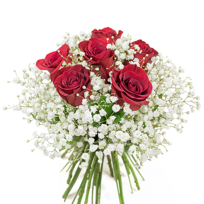Set against a gleaming white canvas, this classic Camberwell bouquet is a study in romantic artistry. Six lavish red roses, their petals curled with a soft, velvety sheen, burst with saturated crimson tones, each blossom a symbol of affection threaded through generations of South London romance. These luxurious blooms are nestled within a dreamy cloud of pure white baby's breath, whose star-like blossoms create the impression of morning mist lifting over nearby Ruskin Park. The minute, airy gypsophila adds textural lightness and tender contrast, embracing the roses while allowing their intensity to shine. Below, the bouquet's stems, long and verdant, are skillfully bound and arranged with the deliberate touch of a seasoned Camberwell florist-suggesting a freshly gathered bouquet, ready to delight a recipient in Denmark Hill or along Coldharbour Lane. The overall effect is elegant yet inviting, the pristine whites and rich reds balanced harmoniously to evoke feelings of sincere affection and gentle celebration. This arrangement, perfect for expressing passion on anniversaries or as a surprise gift delivered throughout Camberwell, carries the fragrance of romantic intent and the memorable craftsmanship of the area's finest flower shops.