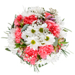A symphony of springtime exuberance is artfully contained in this Camberwell-inspired bouquet, arranged by local florists who draw daily inspiration from the area's parks and creative community. Captured from above against a pristine white canvas, the arrangement radiates with the fresh optimism of coral-pink carnations ruffling brightly among cheerful white daisies, their golden-green centers glowing. Floating between the prominent blossoms, fluffy clouds of baby's breath bring a gentle, airy lightness, softening every edge like a morning mist drifting through Brunswick Park. Subtle blushes of Peruvian lily buds edged in soft purple peek from the tangle of petals-a designer's touch that hints at promise and subtle elegance. Silvery eucalyptus leaves and elegant dark greenery provide the foundation, their rich hues quietly framing the vibrant blooms and enhancing the sense of fullness. There's a peaceful energy to the bouquet; it feels both effortless and intentionally gathered, as if it could have come straight from Camberwell's lively Saturday flower stalls. Equally suited for celebrating a special birthday, sending heartfelt thanks, or simply brightening a loved one's home near Camberwell Church Street, this arrangement stands as a fragrant, uplifting gesture-a floral celebration rooted in local colour and heartfelt creativity.